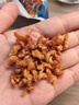 金鉤海米 蝦米干蝦仁干煲湯煮粥 海產(chǎn)干貨 金鉤海米100g 源頭直采包郵 曬單實(shí)拍圖