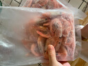 仁豪水產(chǎn) 帶籽熟凍北極甜蝦凈重3斤（MSC認證）90/120 解凍即食 25年新貨 曬單實(shí)拍圖