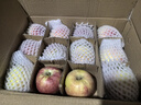 秋宜 陜西紅富士蘋(píng)果水果時(shí)令丑蘋(píng)果新生鮮孕婦水果送禮整箱 5斤精選裝【嚴選級】?jì)?.5斤 新鮮采摘 曬單實(shí)拍圖
