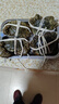 【活蟹】蘇狀元鮮活大閘蟹現貨公5.0-5.3兩母4.0-4.3兩4對8只螃蟹大只海鮮禮盒 曬單實(shí)拍圖