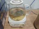 九陽(yáng)（Joyoung）凈萃全玻璃0膠水養生壺  辦公室多功能煮茶器花茶壺 燒水壺恒溫電熱水壺 24h預約保溫 1L WY107 曬單實(shí)拍圖