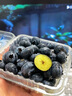 山姆伯伯 藍莓巨無(wú)霸【空運-多地次日達】新鮮鮮果水果禮盒年貨節送禮 【超甜·特大果| 金標】18mm+ 125g*4盒裝【巨劃算-80%人選】協(xié)會(huì )推薦* 凈400g 曬單實(shí)拍圖
