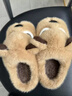 DMPD搞怪小狗棉拖鞋男士冬季新款室內居家厚底毛絨保暖卡通毛毛棉拖女 卡其【搞怪小狗】 42-43 正碼 曬單實(shí)拍圖