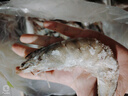 東上御品 國產(chǎn)青島大蝦 特大號白蝦 2030規(guī)格 凈重3斤 盒裝活凍 曬單實(shí)拍圖