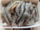 鮮京采 厄瓜多爾白蝦 凈重3斤/盒 特大號20-30規格   30-45只/盒 曬單實(shí)拍圖