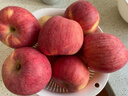 洛川蘋(píng)果（luochuanapple）【順豐】正宗陜西延安洛川蘋(píng)果陜西蘋(píng)果產(chǎn)地直發(fā)脆甜多汁能帶皮吃 24枚85mm 大果顆顆優(yōu)選 蘋(píng)安喜樂(lè ) 曬單實(shí)拍圖