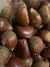 探味先生丹東板栗 新鮮栗子 生板栗 產(chǎn)地直發(fā) 新鮮蔬菜 時(shí)令生鮮 凈重 5.8斤 大果 曬單實(shí)拍圖