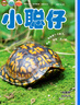 小聰仔科普版雜志2026年1.2月新【全年/半年訂閱/2026全年珍藏】贈貼紙+游戲圖冊 2~8歲興趣兒童科普百科自然動(dòng)物過(guò)刊K 【全年訂閱送益智玩具】科普版26年1-12月 曬單實(shí)拍圖