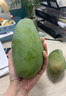 越南品種新鮮脆甜芒果甜心芒薄皮脆青芒甜脆生吃 3斤現摘現發(fā) 3斤 單果400g+ 曬單實(shí)拍圖