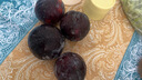 東北黑布林5斤李子大果水果脆李黑金剛恐龍蛋孕婦應當季3整箱 精選裝整箱3斤 【精選中果】可口多汁 曬單實(shí)拍圖