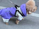 skingcond德國小型犬小狗衣服服可牽引秋冬款棉衣泰迪比熊冬季保暖防水棉服 【德國嚴選】霧霾藍 3XL碼(21-26斤狗狗)卡碼拍大一碼 曬單實(shí)拍圖
