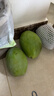 三亞芒果  海南芒果新鮮水果生鮮整箱當季大青皮芒 熱帶孕婦芒果 5斤裝(凈果4.5斤)單果200-500g+ 曬單實(shí)拍圖