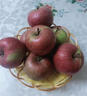 南步正宗東北國光小蘋(píng)果 遼寧特產(chǎn)五蓮國光老品種笨蘋(píng)果新鮮孕婦水果 5斤 精選小果【約24個(gè)】 曬單實(shí)拍圖