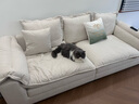 帕沙曼政府補貼布藝沙發(fā)可拆洗奶油風(fēng)小戶(hù)型帆船寬坐深直排沙發(fā)DA50236K 2.4米 多人位[標準版1.0米寬] 貓抓布【旗艦版】 羽絨+記憶棉+絨絲棉+竹炭海綿 曬單實(shí)拍圖