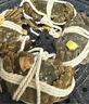 【活蟹】龍行大閘蟹現貨 鮮活螃蟹足重特大公母海鮮年貨禮盒裝 全母蟹2.8-3.1兩  6只 曬單實(shí)拍圖