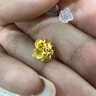 菜百首飾 黃金耳飾 足金女款小花時(shí)尚耳飾百搭 計價(jià) HJ 直鉤彎鉤隨機發(fā) 黃金耳飾 約2.71g 曬單實(shí)拍圖