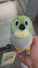 捉趣叉尾太陽(yáng)鳥(niǎo)毛絨玩具可愛(ài)小鳥(niǎo)公仔睡覺(jué)抱枕女孩小玩偶娃娃禮物 翠鳥(niǎo) 全長(cháng)約11cm 曬單實(shí)拍圖