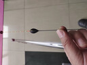 小鳳仙磨砂高端魚(yú)漂多水域綜合浮漂高靈敏加粗醒目野釣漂休閑鯽魚(yú)漂遠拋 S-NC06 鉛約1.3-1.9g 短桿鯽鯉魚(yú) 3號漂/1支 曬單實(shí)拍圖