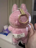 MPPMCK拉布布保護套labubu保護罩三代前方高能系列坐坐派對第3代 【高透升級】小春野保護殼 曬單實(shí)拍圖