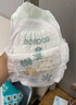 巴布豆（BOBDOG）新菠蘿拉拉褲XXL68片（14-17kg）嬰兒尿不濕超薄透氣 曬單實(shí)拍圖