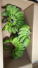 正宗蘋(píng)果蕉廣西香蕉自然熟新鮮水果奶蕉粉蕉小米芭蕉鵬貿 凈重5斤 曬單實(shí)拍圖
