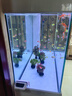 森森（SUNSUN）新款超白魚(yú)缸客廳玻璃大型水族箱智能觸控家用免換水底濾缸 加寬1.2米42寬 無(wú)極變光+新式底濾 烤漆白 曬單實(shí)拍圖