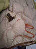 迷你巴拉【三防】男童女童輕暖羽絨服兒童萌趣造型冬連帽外套25年新款 淺卡其50313 【白鴨絨—1000+清潔度】 80 【29.5g】 曬單實(shí)拍圖