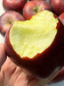 味果生甘肅天水花牛蘋(píng)果應季新鮮孕婦水果粉面沙甜寶寶輔食刮果泥紅蛇果 5斤中大果75-80mm凈重4.5斤 曬單實(shí)拍圖