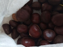 【東東農場(chǎng)專(zhuān)供】25年丹東新板栗生板栗炒菜專(zhuān)用新鮮蔬菜生鮮 25年新下樹(shù) 2斤 送栗爪 曬單實(shí)拍圖