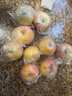 龍多鮮冰糖心蘋(píng)果富士蘋(píng)果新鮮水果當季整箱現摘丑蘋(píng)果 整箱5斤精選 約10-16枚 凈4.5斤 曬單實(shí)拍圖