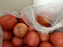 攀枝花粉瓤西紅柿生吃水果番茄新鮮蔬菜中果單果80g 粉瓤西紅柿 凈重 5斤 家庭款 曬單實(shí)拍圖