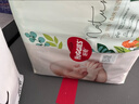 好奇森林密語(yǔ)紙尿褲夏季透氣超薄干爽尿不濕小森林系列成長(cháng)褲拉拉褲 紙尿褲M(mǎn)48*2包 曬單實(shí)拍圖