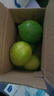四川安岳青檸檬新鮮水果精選皮薄特產(chǎn)孕婦營(yíng)養檸檬青產(chǎn)地直發(fā)包郵 安岳青檸檬2粒 單果80g+ 曬單實(shí)拍圖
