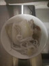 昌鮮園舟山原汁大墨魚(yú)超大新鮮海鮮目魚(yú)鮮活冷凍生鮮目魚(yú)墨魚(yú)仔烏賊整只 【250克左右/只】墨魚(yú)1只 曬單實(shí)拍圖