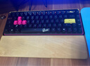 ROG魔導士Ace HFX 電競磁軸鍵盤(pán) 游戲機械鍵盤(pán) 無(wú)畏契約 8K回報率 小蜜蜂戰隊同款 ZywOo限量版【重磅新品】 曬單實(shí)拍圖