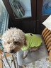 MIKI PAD狗狗衣服馬甲冬季保暖透氣可牽引寵物小型犬春秋貓衣服比熊雪納瑞 抹茶馬卡龍背心 L胸圍47cm（建議8.5-12斤） 曬單實(shí)拍圖