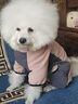 超可耐狗狗衣服柴犬金毛衣服中大型犬邊牧秋冬保暖高彈搖粒絨四腳衣 淺粉色 XL碼（胸圍50cm，背長(cháng)35cm） 曬單實(shí)拍圖