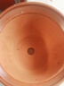紫砂陶瓷花盆特大號花盆粗砂陶土大碼陶瓷盆批發(fā)落地盆景花卉綠植 口徑32cm 1個(gè)盆+托盤(pán) 曬單實(shí)拍圖
