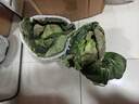 高原夏菜新鮮包菜卷心菜綠甘南菜甘藍圓白菜時(shí)令蔬菜健康營(yíng)養早餐 1.5斤-2斤高端標準菜 曬單實(shí)拍圖
