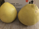 京鮮生 福建琯溪紅心蜜柚2粒 凈重4-4.5斤 水果禮盒 源頭直發(fā)包郵 曬單實(shí)拍圖