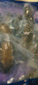 久年 4星級大連即食海參獨立包裝 冷凍遼刺參開(kāi)袋即食 海鮮水產(chǎn)禮盒 1500g 30-36頭 禮盒 曬單實(shí)拍圖