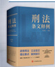 正版 刑法條文釋例 余雙彪 中國檢察 根據刑法修正案十二編寫(xiě) 注釋刑法實(shí)用工具書(shū) 司法解釋 案例指導 實(shí)務(wù)疑難 犯罪刑法的具體運用 曬單實(shí)拍圖