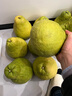 迭果合江真龍柚子四川瀘州脆香甜柚子新鮮水果沙田柚清甜多汁不酸 5個(gè)中果9斤普通裝 曬單實(shí)拍圖