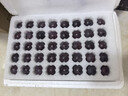 南步東北巨峰葡萄【順豐冷鏈】農家大葡萄陽(yáng)光夏季黑葡萄提子新鮮水果 3斤裝 | 爆款主推 | 80%選擇 曬單實(shí)拍圖