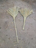 高粱金絲苗掃把家用庭院學(xué)校掃地掃帚不粘發(fā)農村高粱老式掃帚批發(fā) 一體式竹枝小掃把，高約95寬約55cm 曬單實(shí)拍圖