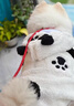 阿莫爾狗狗衣服熊貓中大型犬拉布拉多冬季薩摩耶邊牧服裝寵物大狗秋冬裝 可愛(ài)熊貓裝 3XL 曬單實(shí)拍圖