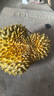 鮮惠源 泰國進(jìn)口榴蓮鮮果 精選榴蓮新鮮水果 軟糯香甜 榴蓮 凈重2.2-3.2斤金枕榴蓮（包三房） 曬單實(shí)拍圖
