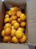 果木島江西撫州正宗南豐蜜桔產(chǎn)地直發(fā)楊小26砂糖小蜜橘貢柑桔子精致禮盒 5斤【精品果】9分甜 產(chǎn)地直發(fā)丨現摘現發(fā) 曬單實(shí)拍圖