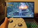 飛智冰原狼3/冰原狼4多模版無(wú)線(xiàn)手柄DW12C類(lèi)xbox手柄Switch/Steam黑神話(huà)悟空游戲手柄明末淵虛之羽手柄 【爆款新品】冰原狼4多模板 曬單實(shí)拍圖