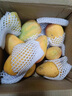 海南小臺農芒果9斤新鮮現摘小臺芒應當季時(shí)令熱帶水果整箱甜心芒 5斤 【大果】精選裝 曬單實(shí)拍圖